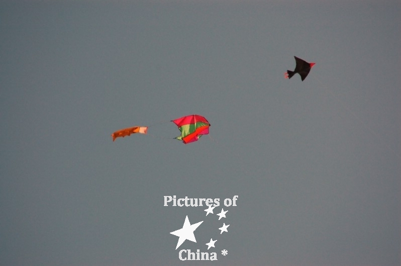 Kites race