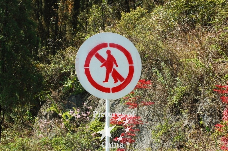 No pedestrian