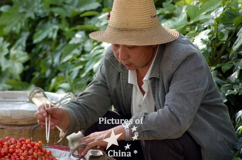 Selling fruits