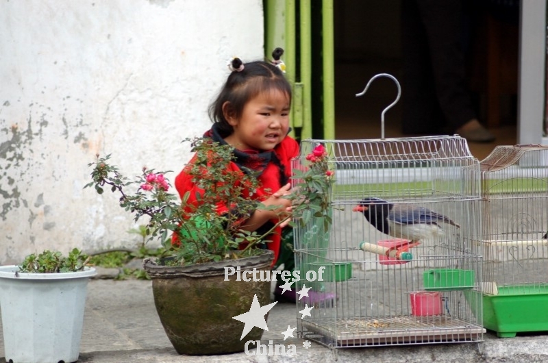 The young girl and the bird