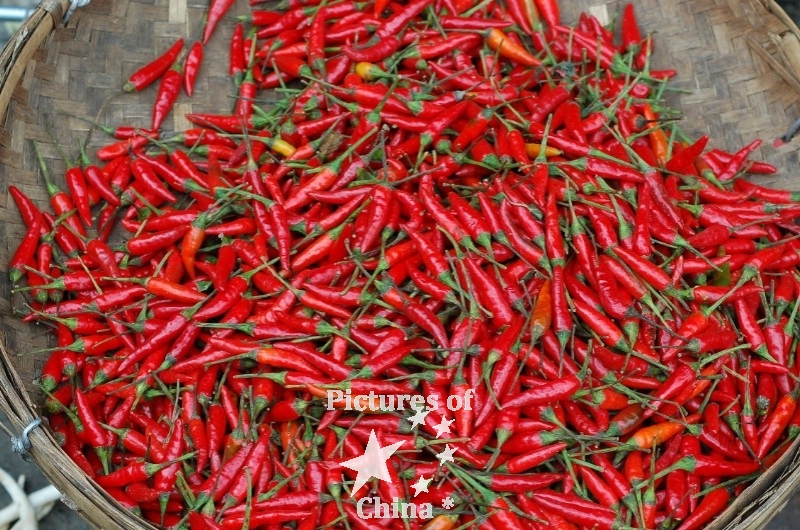 Red pepper