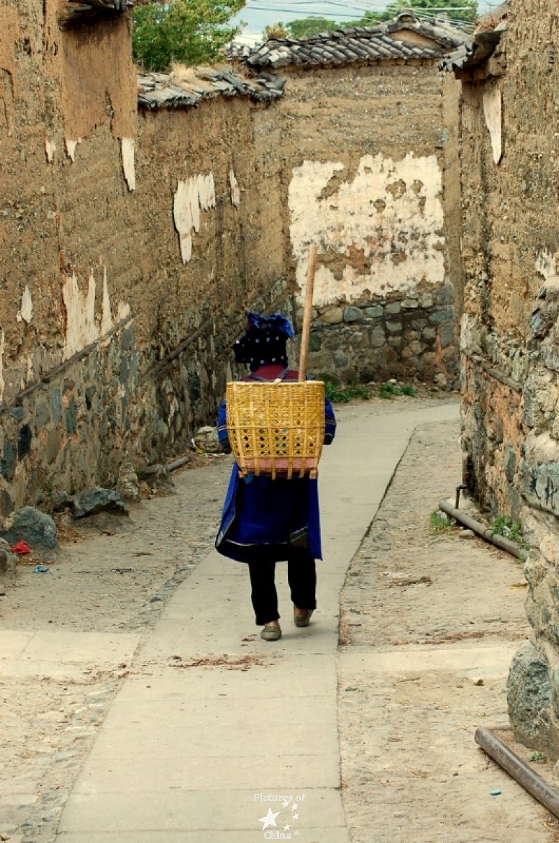 Woman with a basket (2)