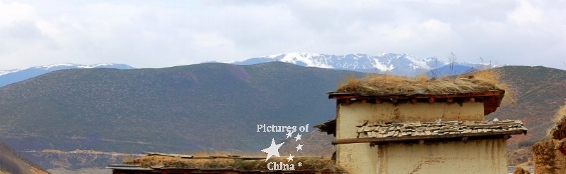 At the hedge of Tibet