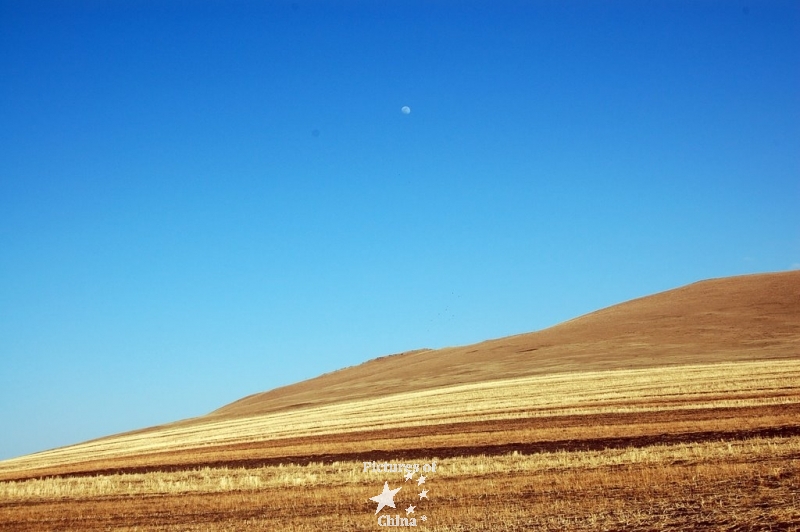 Moon and desert