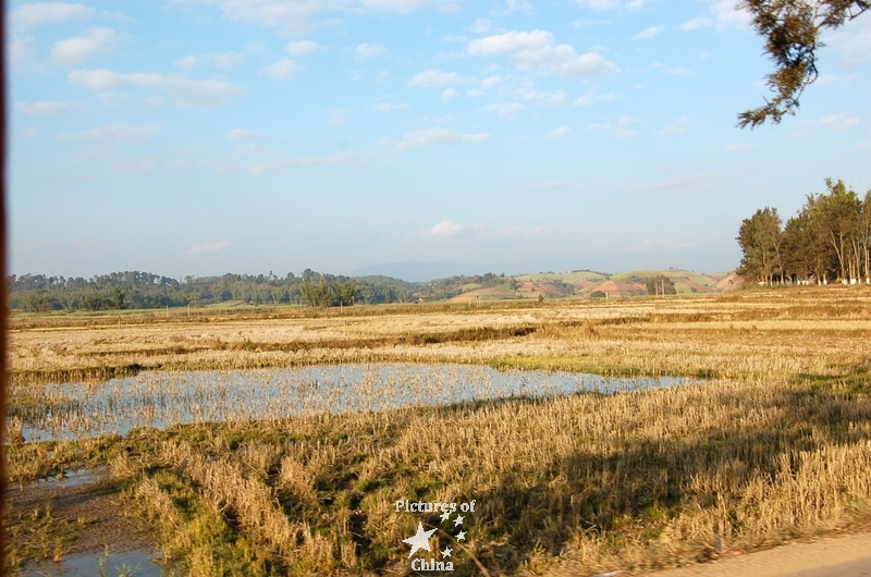 Countryside