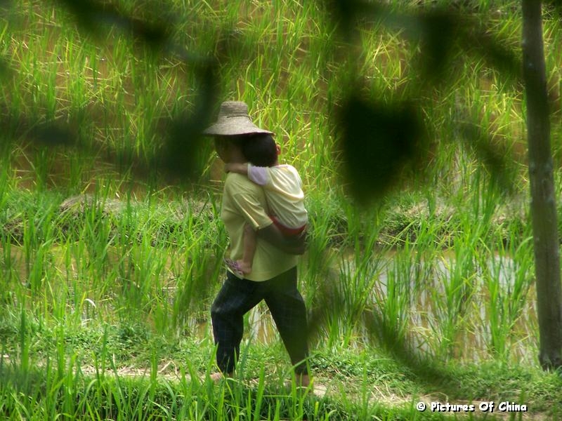 woman and baby in rice field