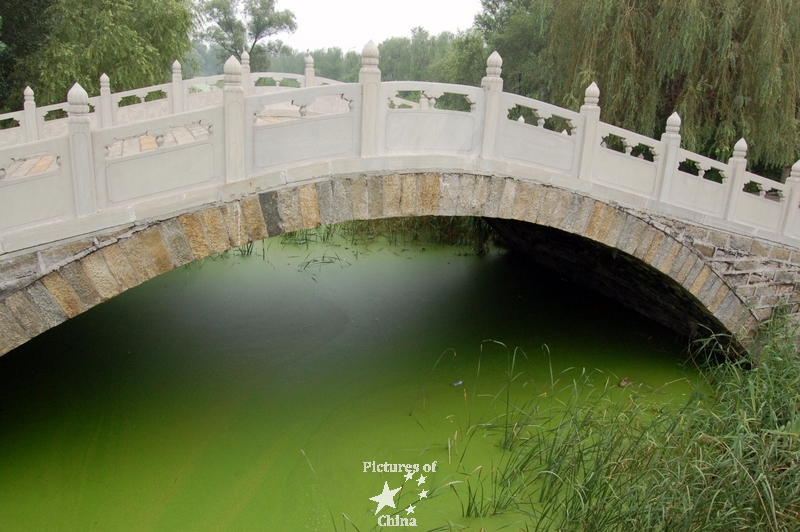 Bridge over green water