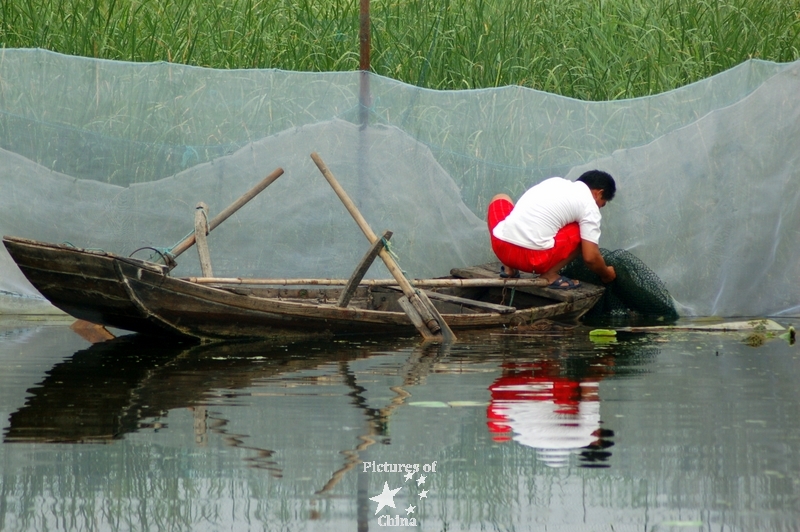 The fisherman