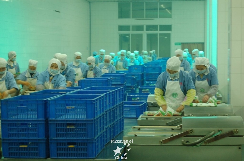 Workers in a factory