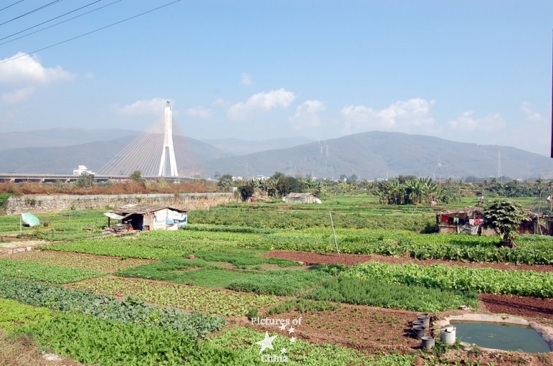 The plain under the bridge