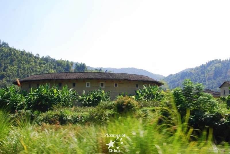 Tulou in the herbs