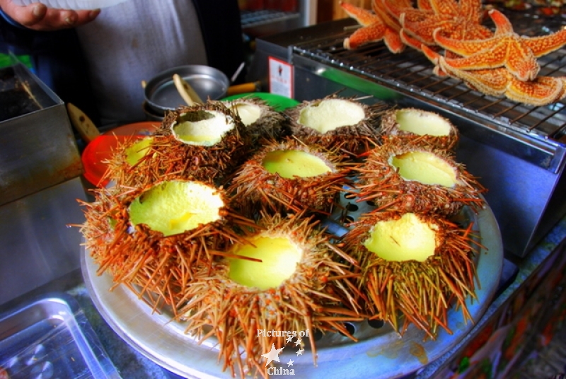 Urchin with eggs