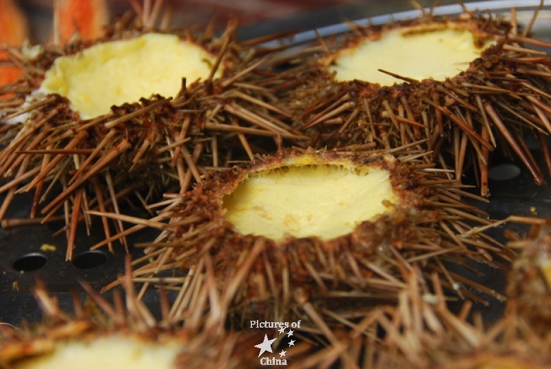 Urchin with eggs