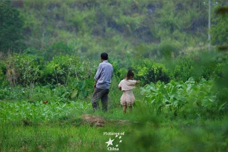 In the fields