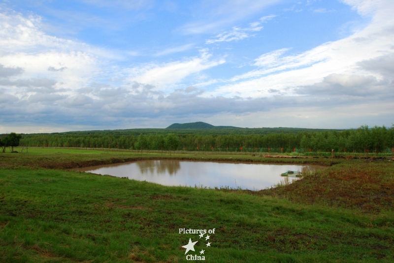 Pond reflection