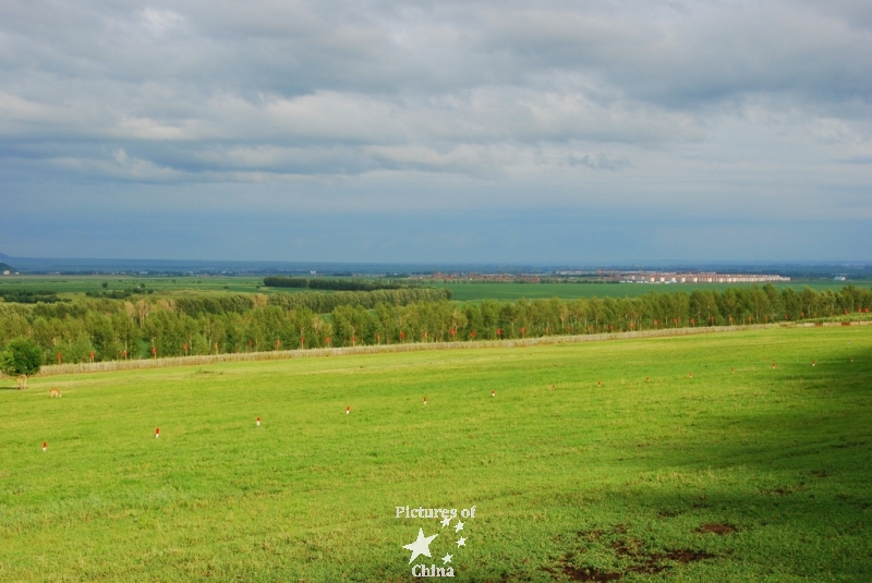 Green fields