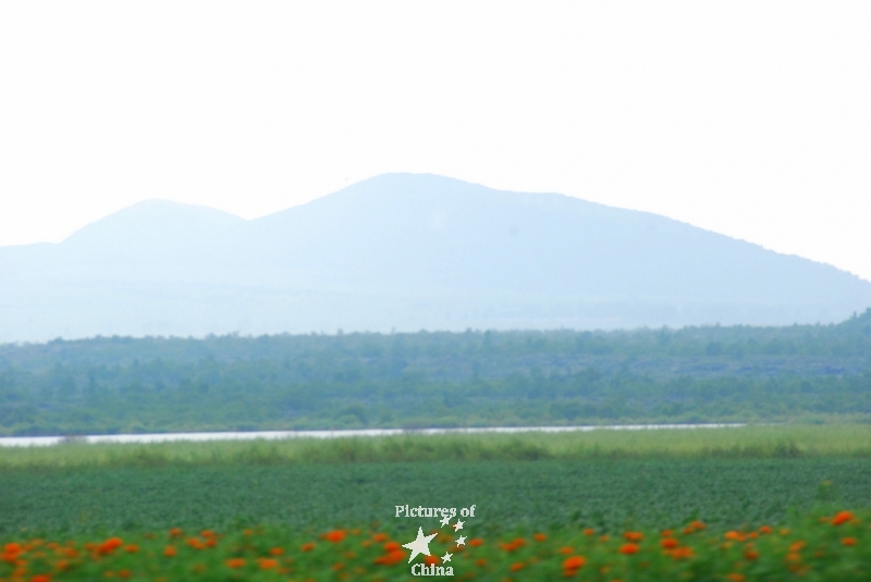 Volcano and poppies