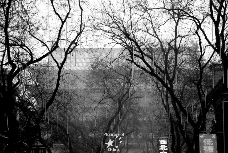 Fog in Xi An