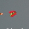 Kites race