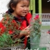 The young girl and the bird