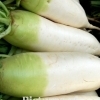 White radishes?