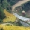 Rice paddles, Zhao Xing (Guizhou)