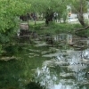 The square, Lijiang (Yunnan)