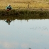 Washing clothes, Menghai (Yunnan)