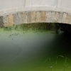 Bridge over green water