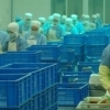 Workers in a factory