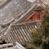 Tianshui : Roofs