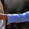 Sheep merchants, Kashgar (Xinjiang)