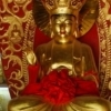 Offerings to Buddha, Qingdao (Shandong)