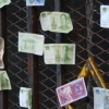 Mao everywhere (offerings), Xining (Qinghai)