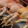 Chicken bottoms, Xining (Qinghai)
