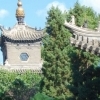 Qiqihar : Sunflowers in the garden of the mosque