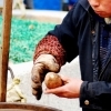 Sweet potatoes, Xi An (Shaanxi)